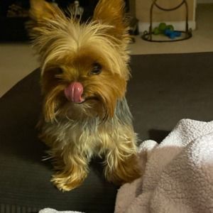 Meet your Posher, Maria